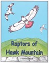 Preview of The Raptors of Hawk Mountain